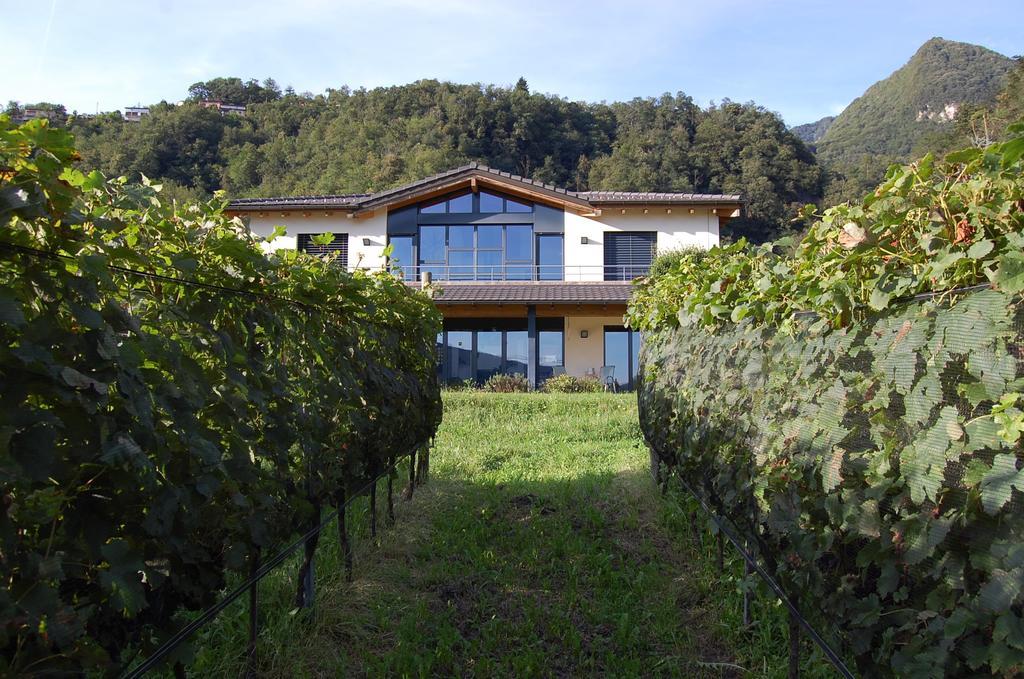 B&B Il Vigneto Melano Exterior foto