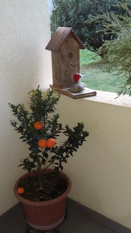 B&B Il Vigneto Melano Exterior foto